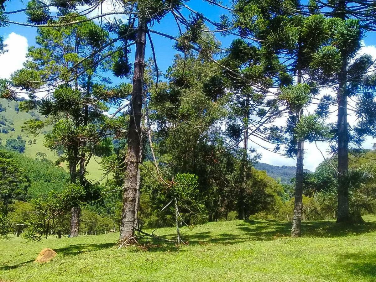 Sitio Refugio Das Araucarias Гонсалвис Экстерьер фото