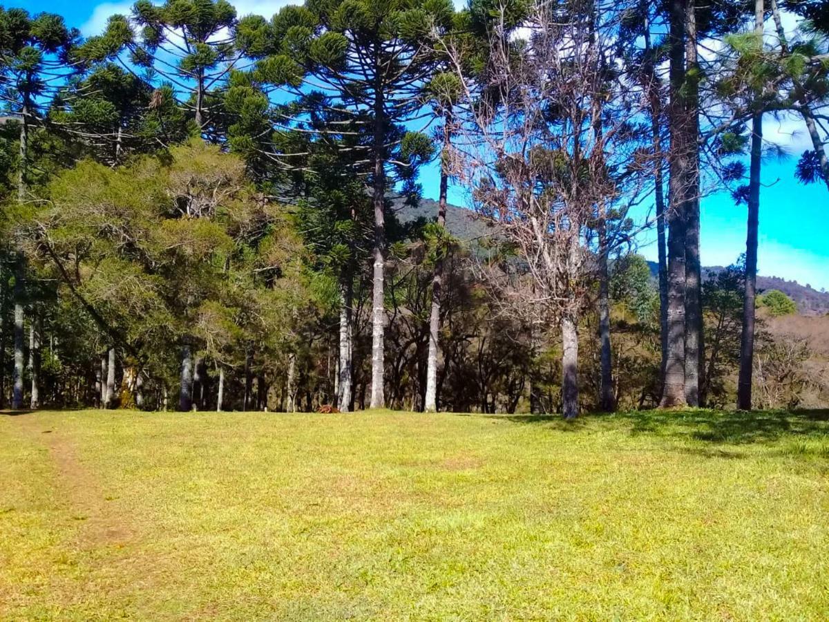 Sitio Refugio Das Araucarias Гонсалвис Экстерьер фото