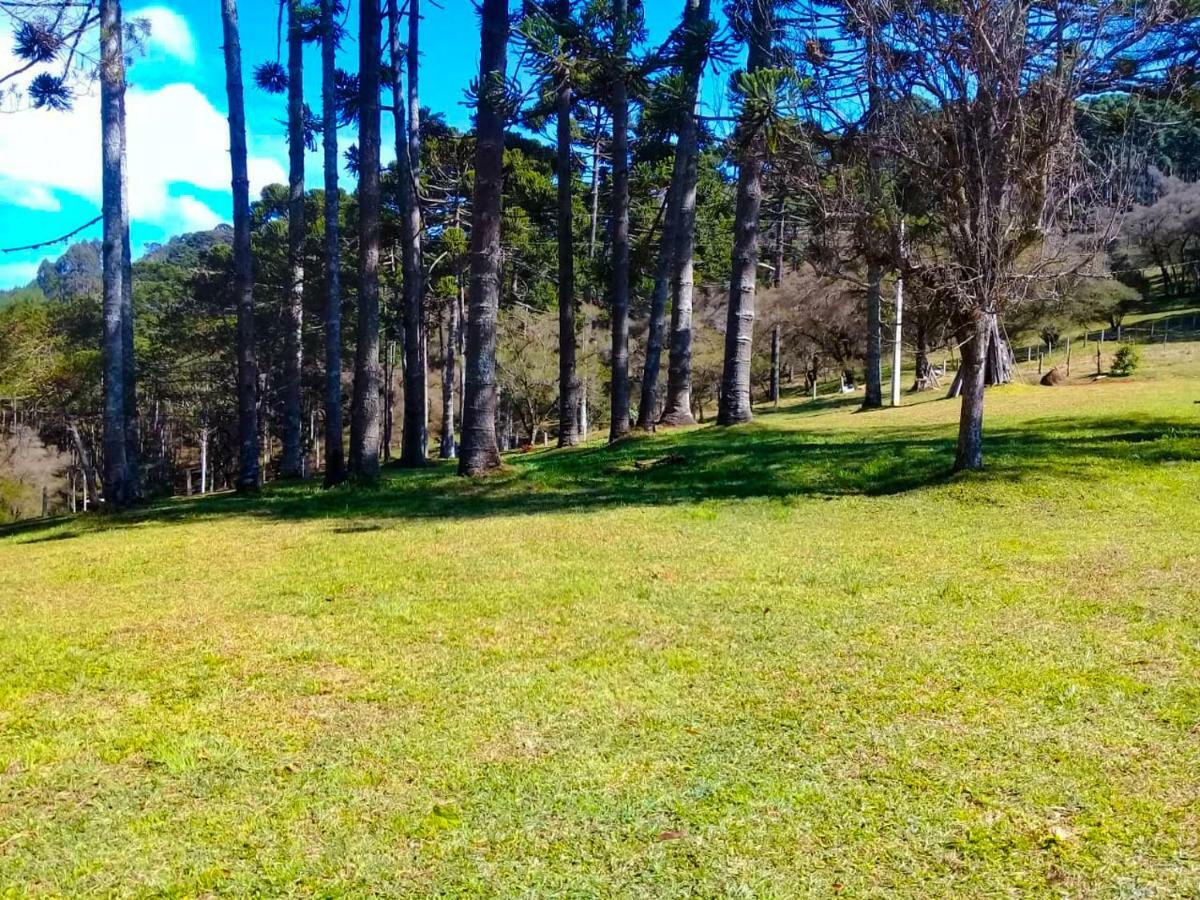 Sitio Refugio Das Araucarias Гонсалвис Экстерьер фото