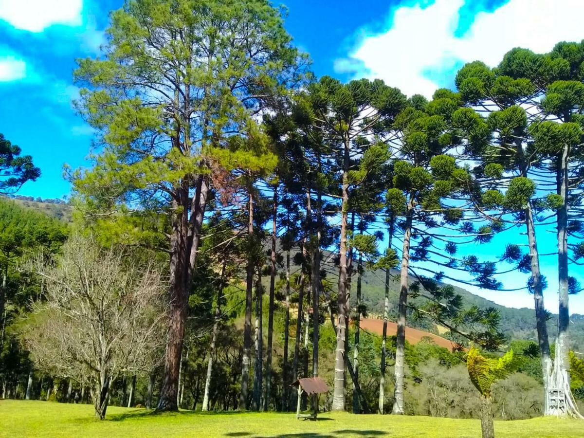 Sitio Refugio Das Araucarias Гонсалвис Экстерьер фото